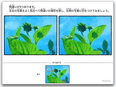 間違い探しプリント課題1 - 写真：向日葵 | イメージ画像